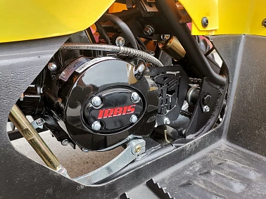 Квадроцикл IRBIS ATV125