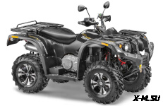 Квадроцикл STELS ATV 600 YS LEOPARD