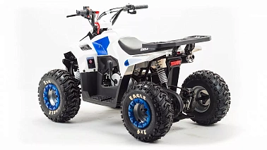 Квадроцикл MOTOLAND (МОТОЛЕНД) 110 EAGLE