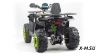Квадроцикл PROMAX WILD 300 LUX (2024)