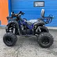 Квадроцикл Grizzly 110